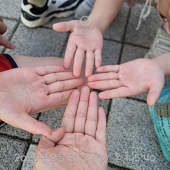 29e627e8400f0978830b123c929d4d11_1756710