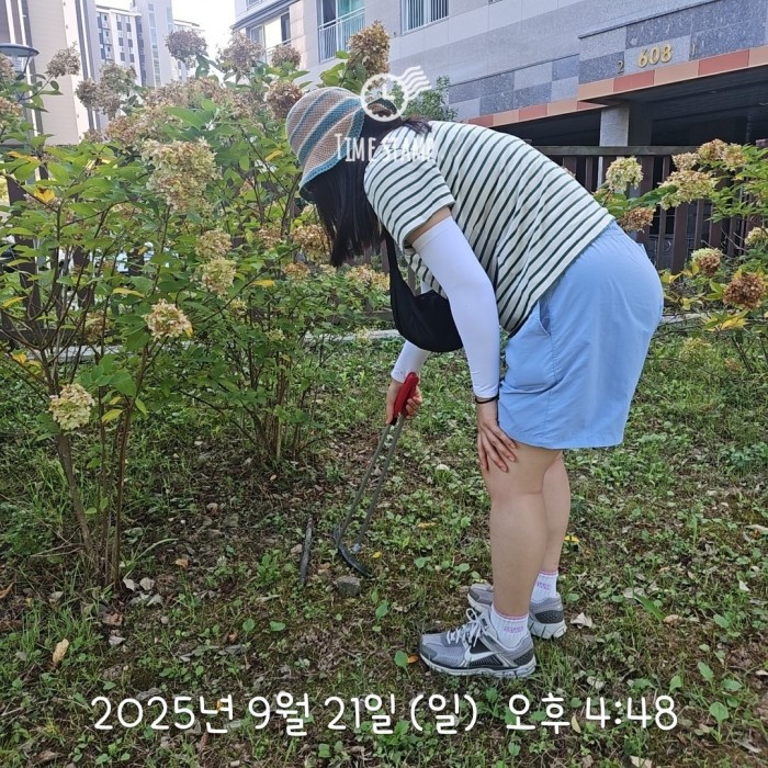 fa81b0b6fcfd769c439572256edbc0b3_1758505