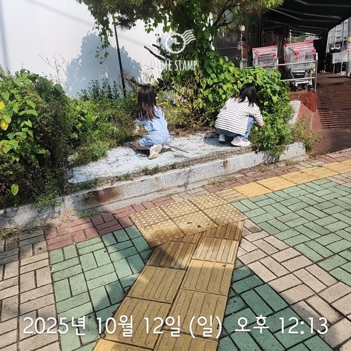 a39930cbbde2a9e746b9fbb0817f33b0_1760335