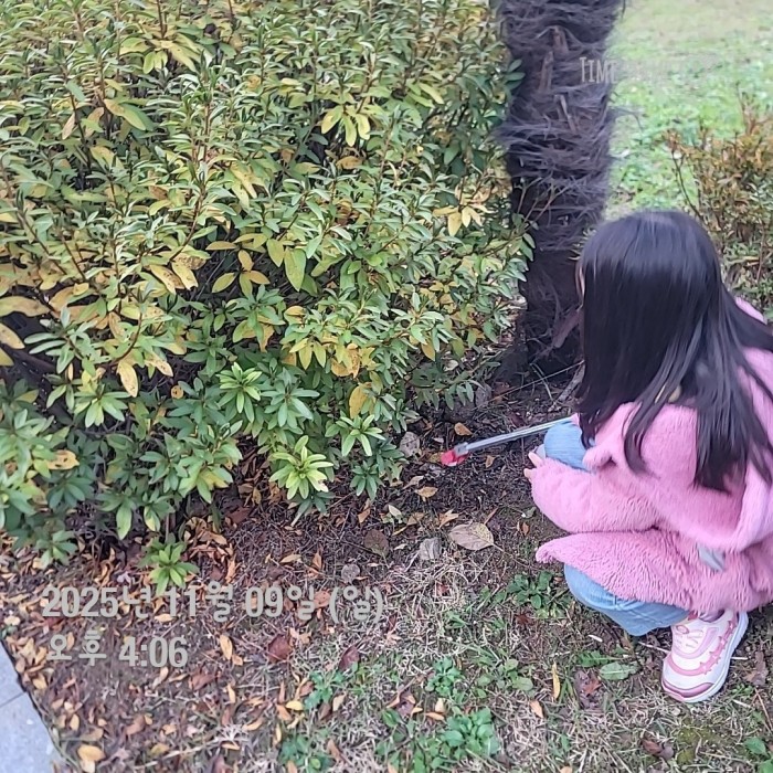 4328bb890ae6a2ce4cdf8c17520e5879_1762737