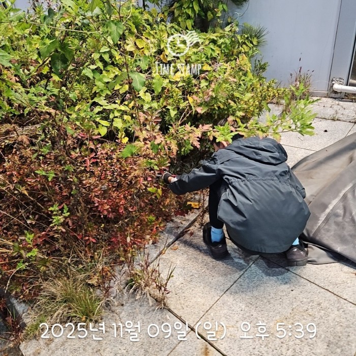 4328bb890ae6a2ce4cdf8c17520e5879_1762738