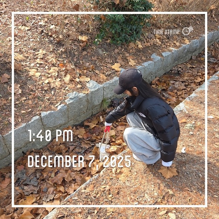 00daf3c447d97bfcb32a819e375b3357_1765329