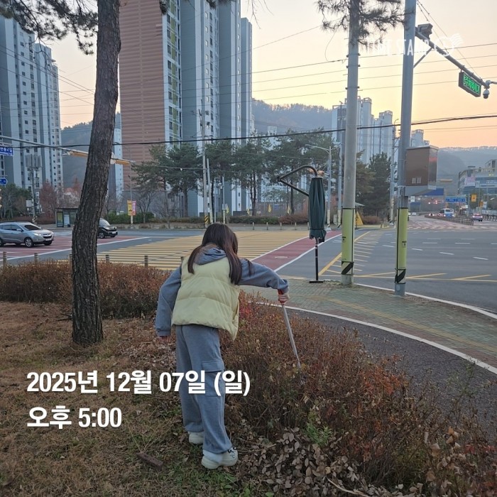 00daf3c447d97bfcb32a819e375b3357_1765329