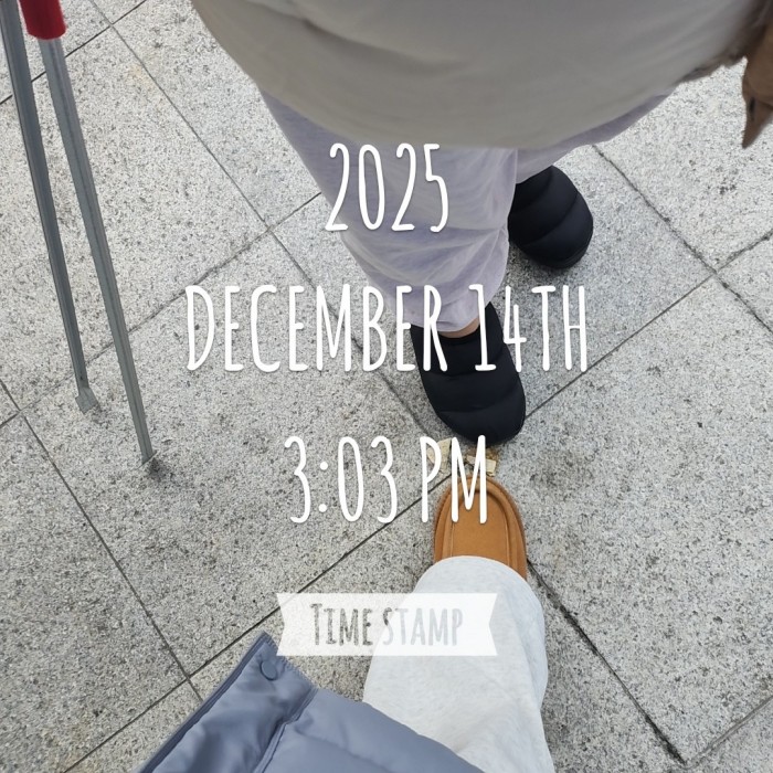 45ea394bc3057f6213155a95acdf86c6_1765782