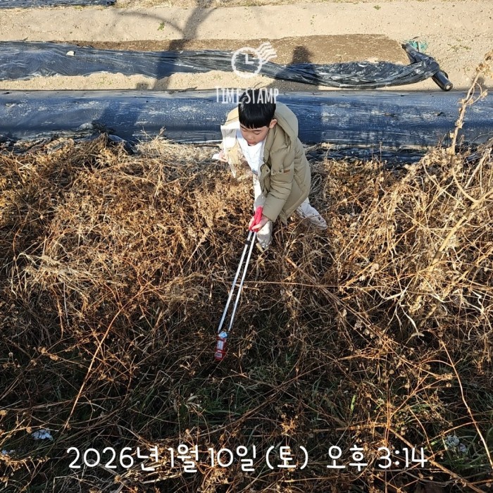 5ce74a75a9a83f2010d29e638235cd14_1768196