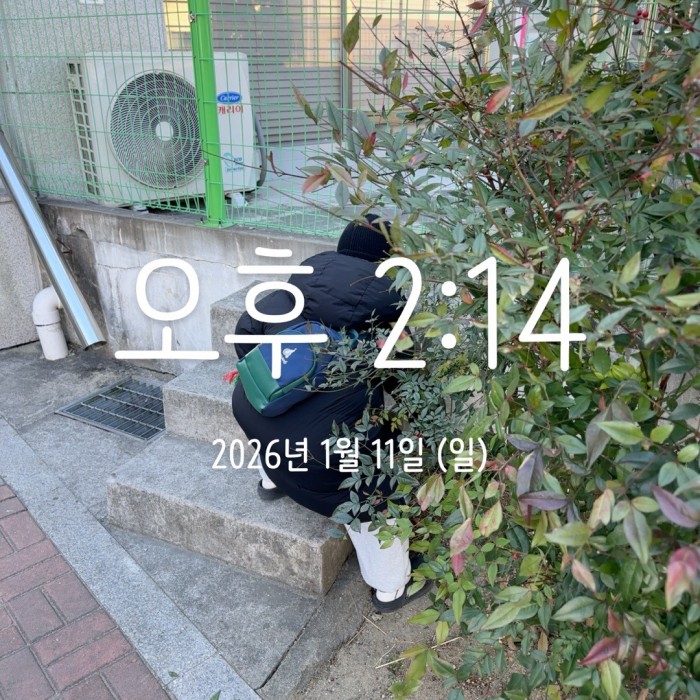 5ce74a75a9a83f2010d29e638235cd14_1768196