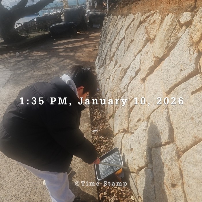 5ce74a75a9a83f2010d29e638235cd14_1768196