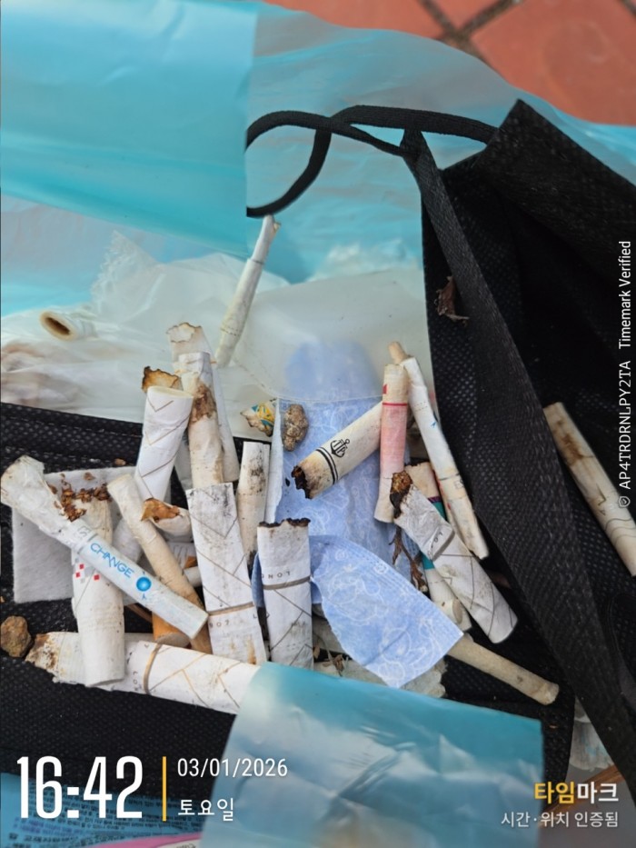 d02697fe2033742bc9f47c7891b34116_1767575