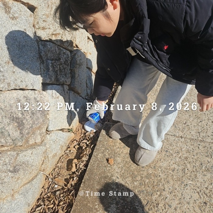 6031333c05f3b3899ee86b11fb18b174_1770604