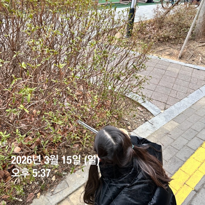 7b8720b4971f952635e552a01024c616_1773639