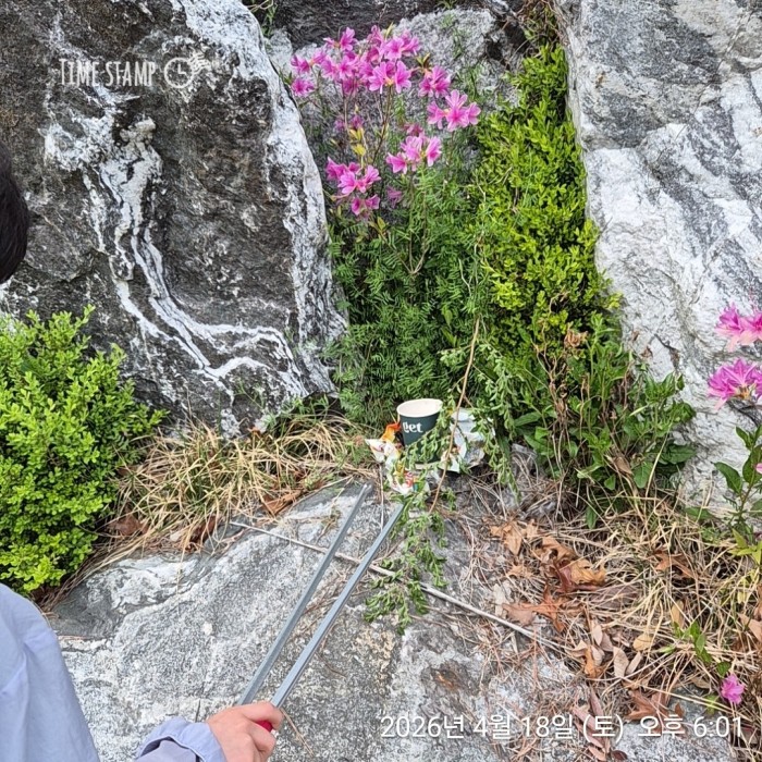 3d1f7f98e97b881a515ac3c63c108ccf_1776735