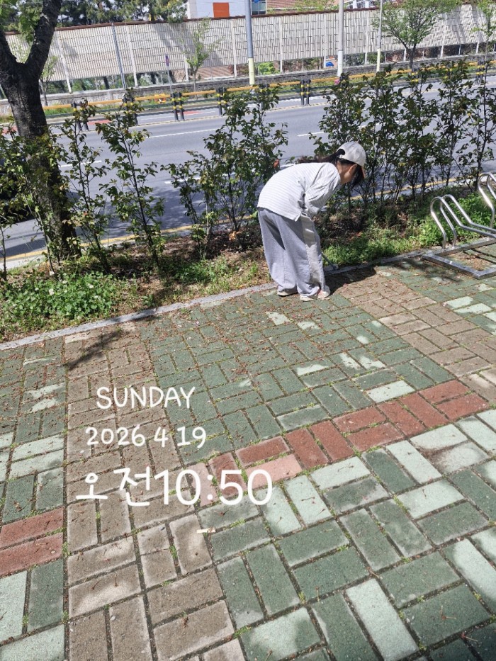 3d1f7f98e97b881a515ac3c63c108ccf_1776735