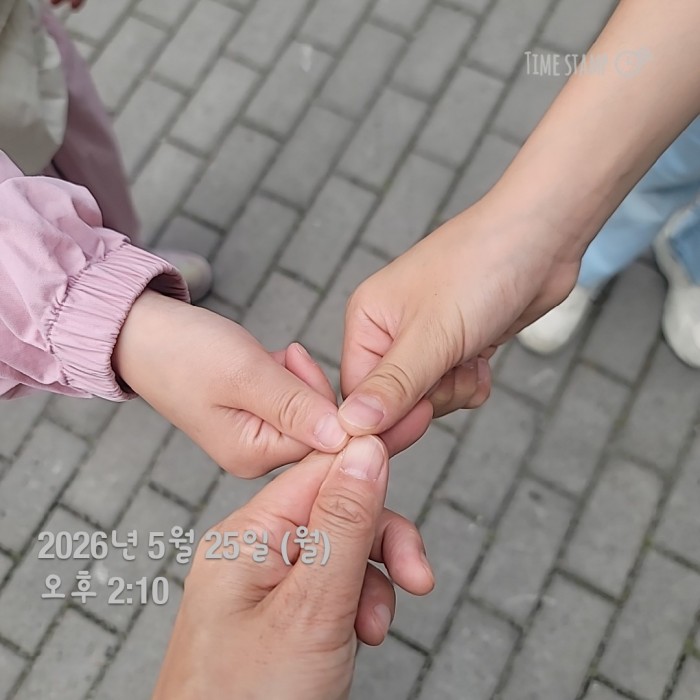1021ab3e4c14f43207e7a9c8aecd3e09_1779805